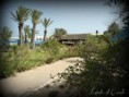 /album/paysages/a10348192-1539907162899024-118933491833682229-n-001-jpg/